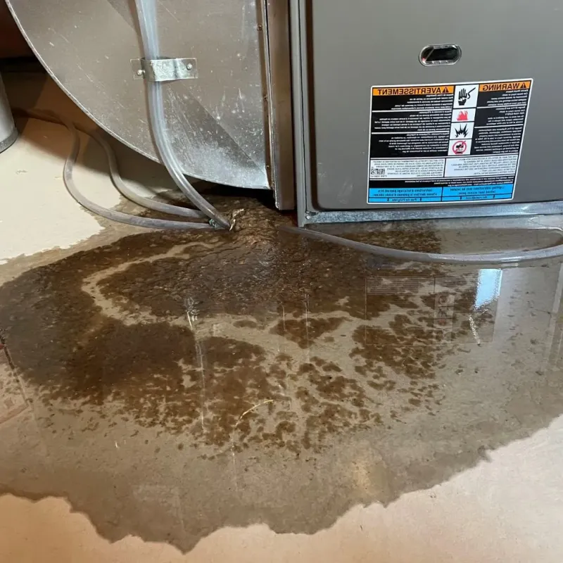 Pipe Burst and Leak Restoration in Geary County, KS