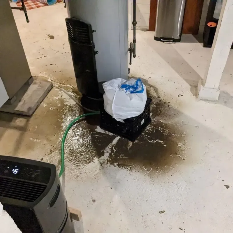 Sewage Backup Cleanup Service in Geary County, KS